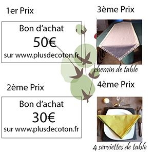 Prix-concours PlusDeCoton